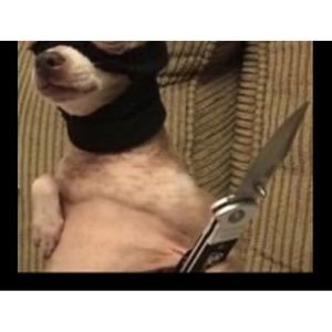 Meet your Posher, Alex01